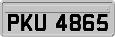 PKU4865