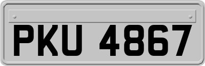 PKU4867