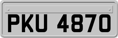 PKU4870