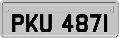 PKU4871