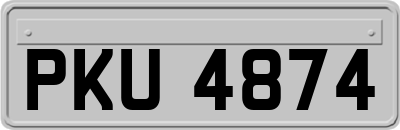 PKU4874