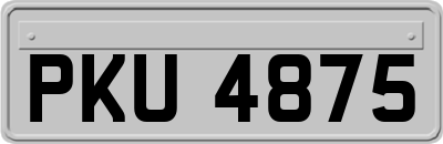 PKU4875