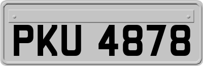 PKU4878
