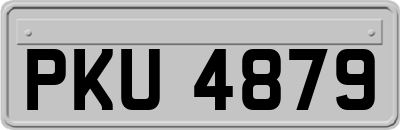 PKU4879
