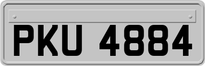 PKU4884