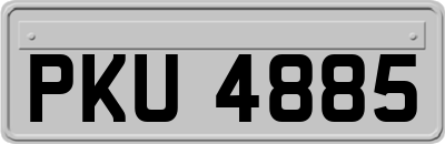 PKU4885