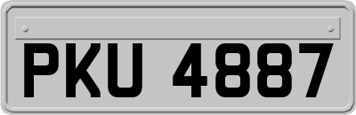 PKU4887