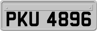 PKU4896