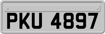 PKU4897