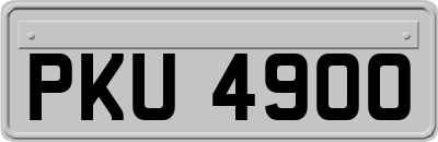 PKU4900
