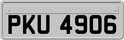 PKU4906