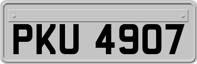 PKU4907