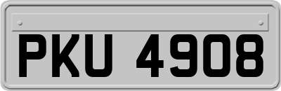 PKU4908