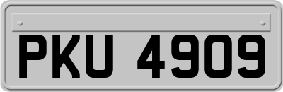 PKU4909