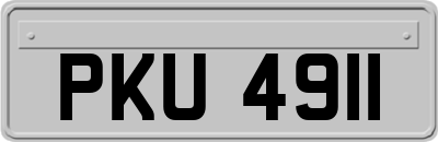 PKU4911