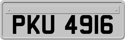 PKU4916