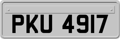 PKU4917