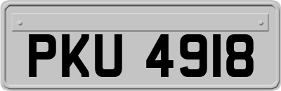 PKU4918