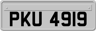 PKU4919