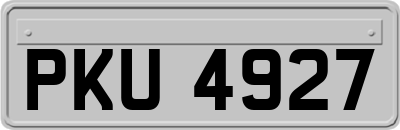 PKU4927