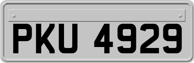 PKU4929