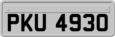 PKU4930