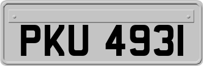 PKU4931