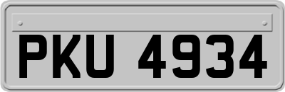PKU4934