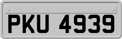 PKU4939