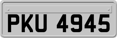 PKU4945