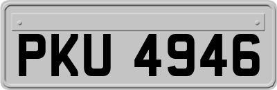 PKU4946