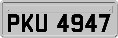 PKU4947