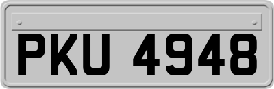 PKU4948
