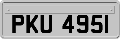 PKU4951