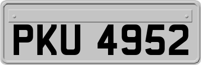 PKU4952