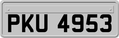 PKU4953