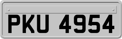 PKU4954