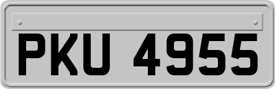 PKU4955