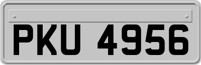 PKU4956