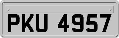 PKU4957