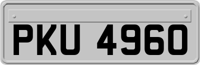 PKU4960