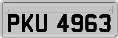 PKU4963