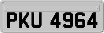 PKU4964
