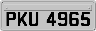PKU4965