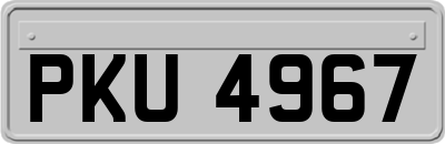 PKU4967