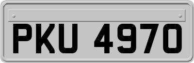 PKU4970