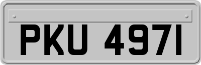 PKU4971