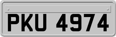 PKU4974