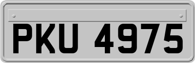 PKU4975