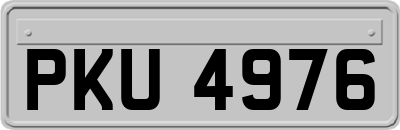PKU4976